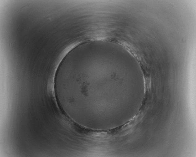 X0000096680147200802121219