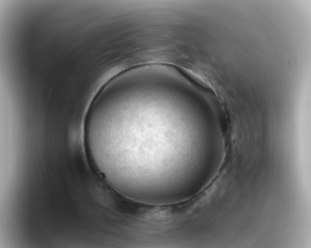 X0000096680148200802121219