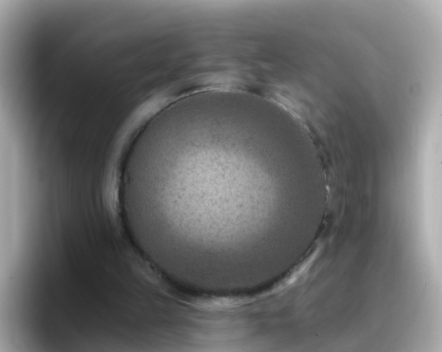 X0000096680149200802121219