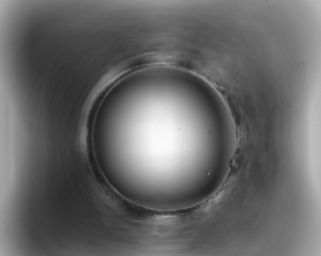 X0000096680150200802121219