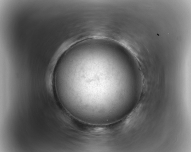 X0000096680151200802121219