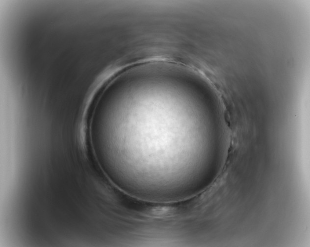 X0000096680152200802121219