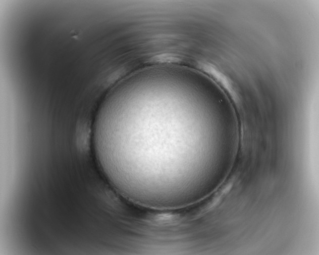 X0000096680153200802121219