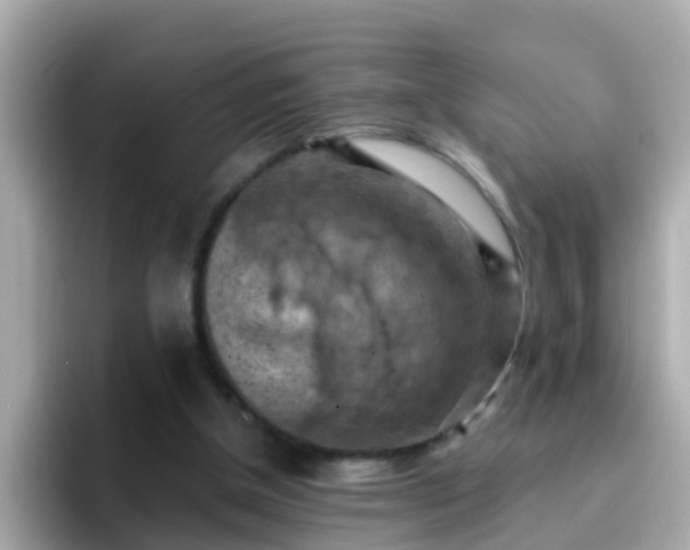 X0000096680154200802121219