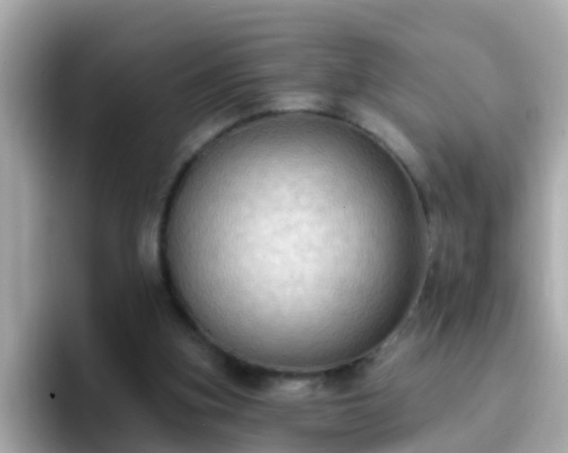 X0000096680155200802121219