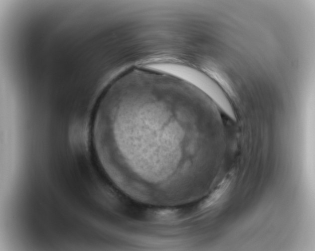 X0000096680156200802121219