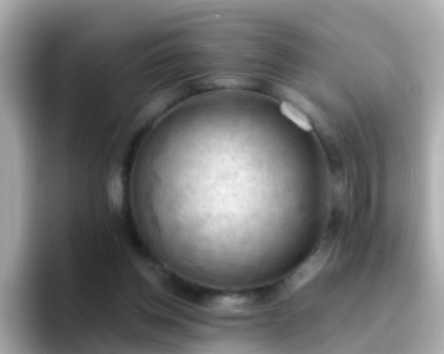 X0000096680158200802121219