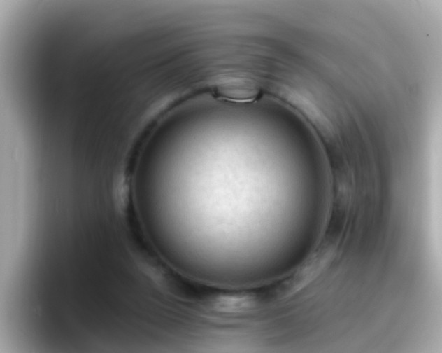 X0000096680160200802121219