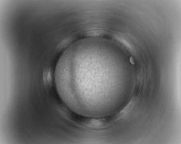 X0000096680166200802121219