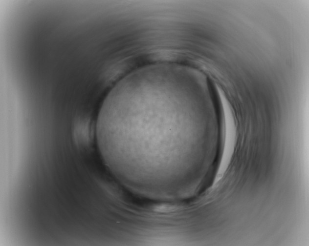 X0000096680168200802121219