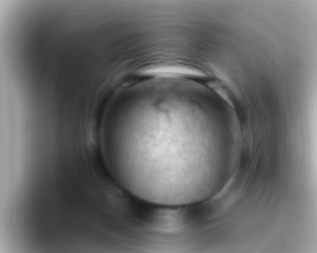 X0000096680170200802121219