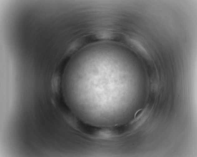 X0000096680171200802121219