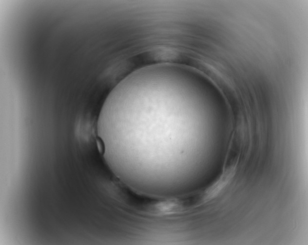 X0000096680172200802121219