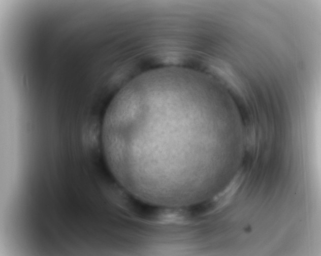 X0000096680175200802121219