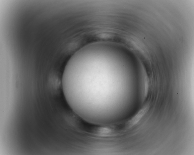 X0000096680176200802121219
