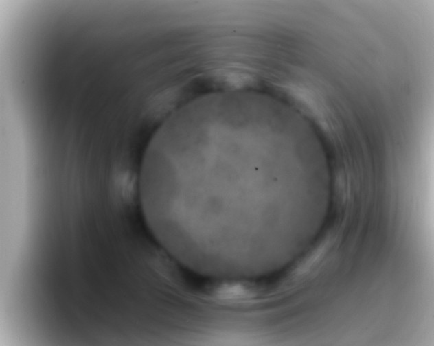 X0000096680177200802121219