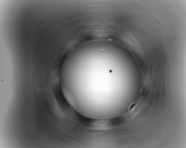X0000096680179200802121219