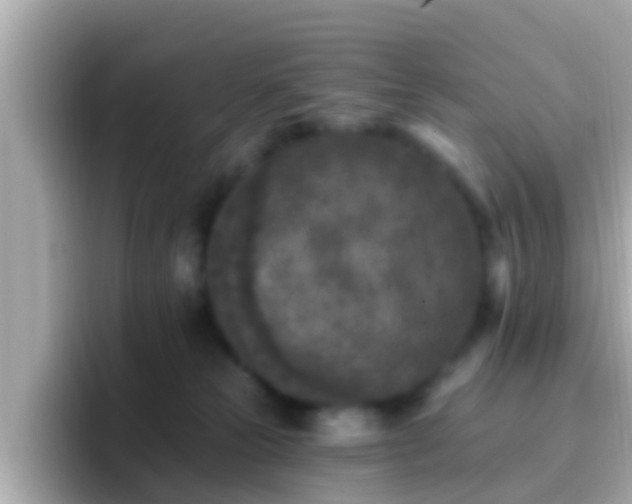 X0000096680181200802121219