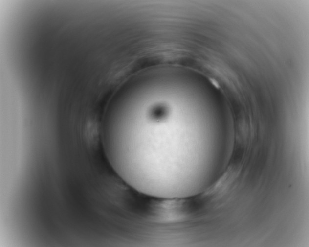 X0000096680184200802121219