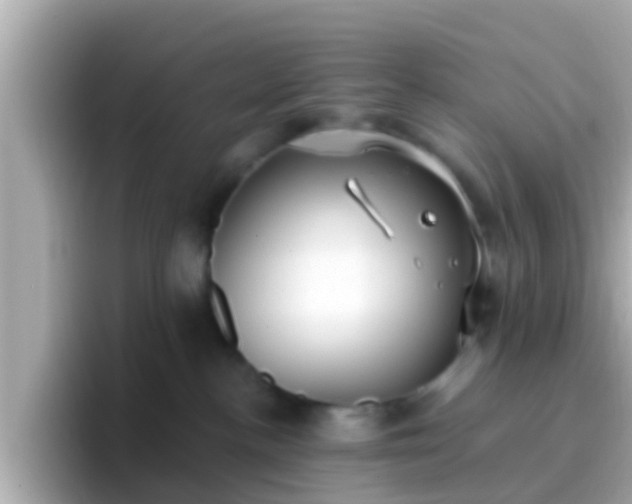 X0000096680188200802121219