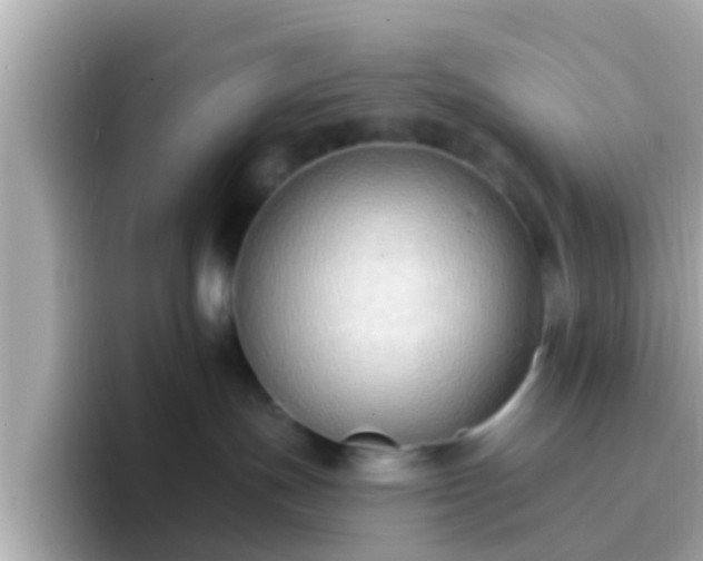 X0000096680191200802121219