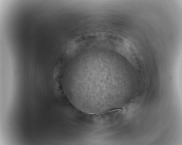 X0000096680192200802121219