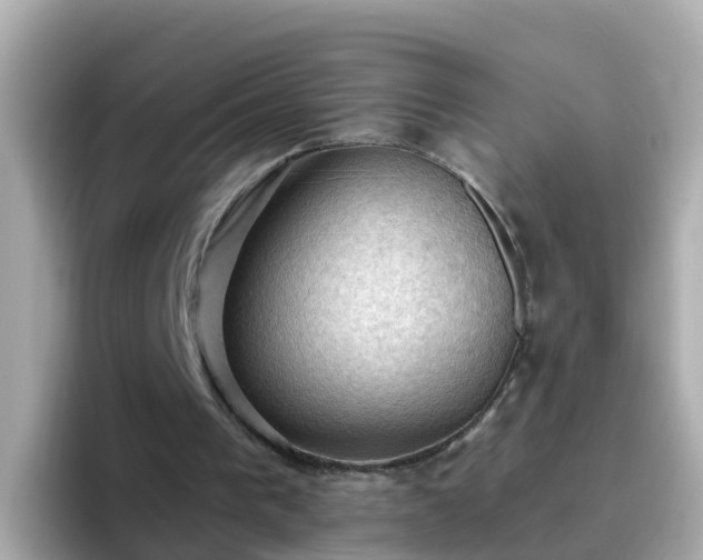 X0000096680193200802121219