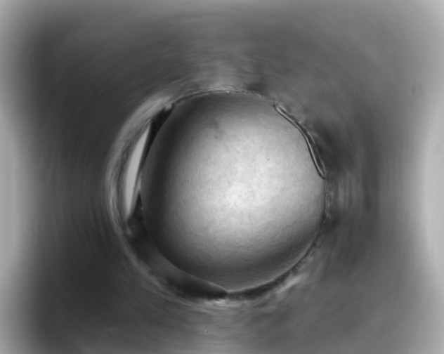 X0000096680197200802121218