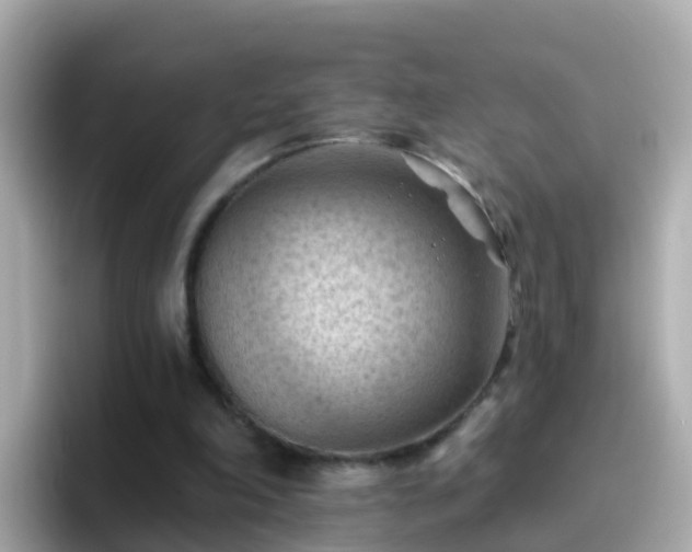 X0000096680198200802121218