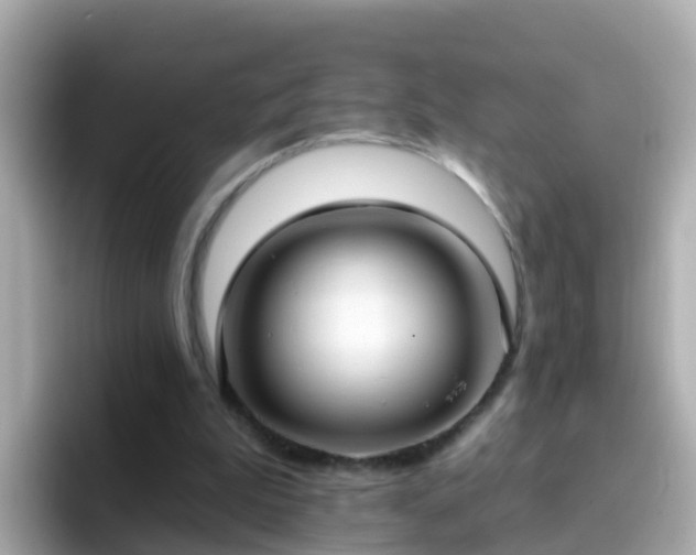 X0000096680199200802121218