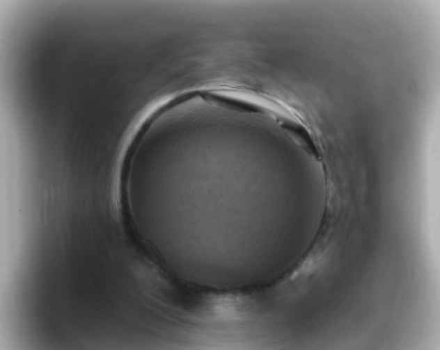 X0000096680200200802121218