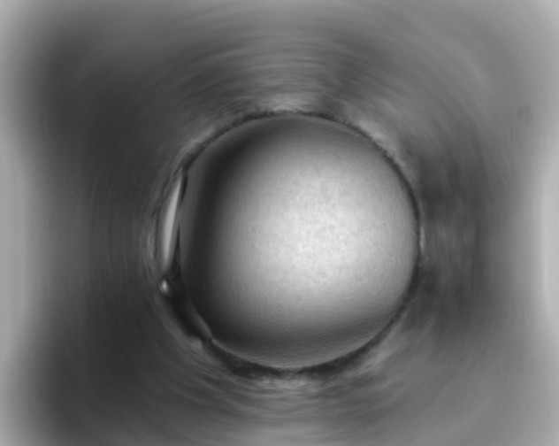 X0000096680201200802121218