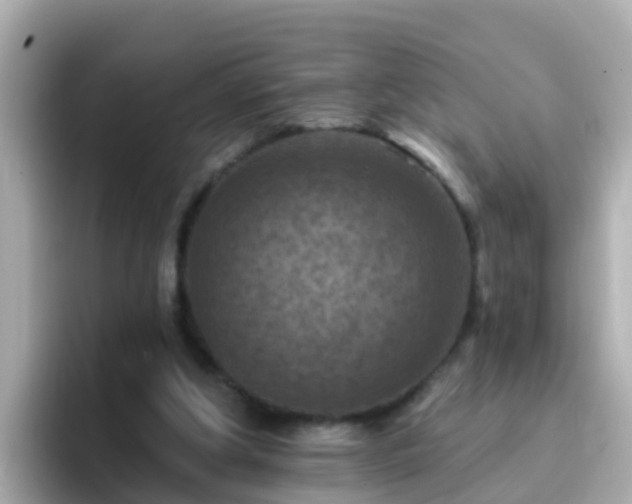 X0000096680202200802121218