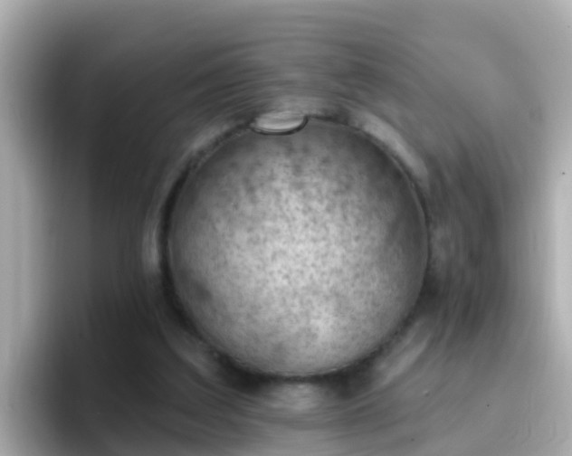 X0000096680203200802121218