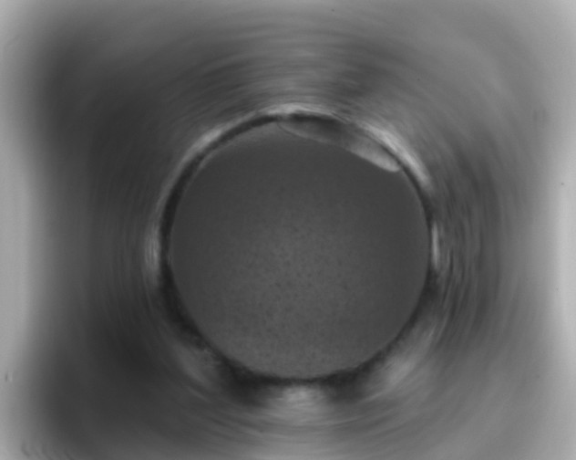 X0000096680204200802121218
