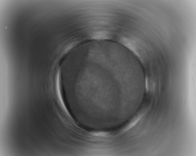 X0000096680205200802121218