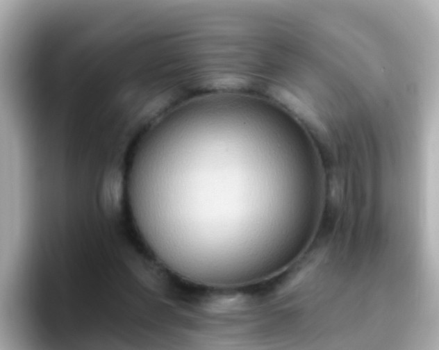 X0000096680206200802121218