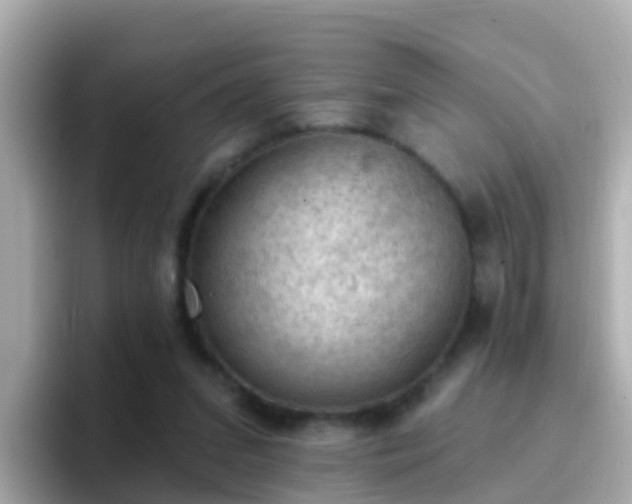X0000096680207200802121218
