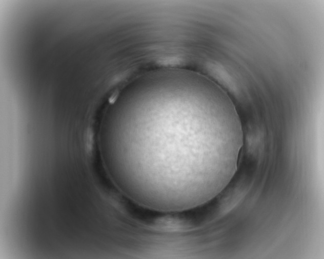 X0000096680211200802121218