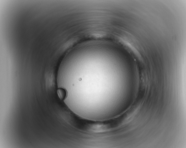 X0000096680212200802121218