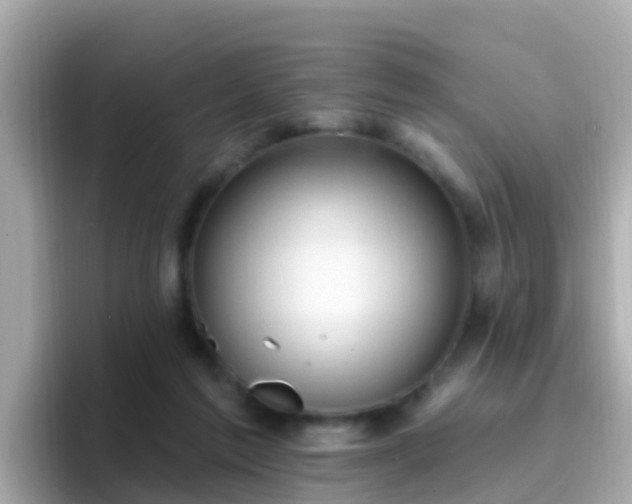 X0000096680213200802121218