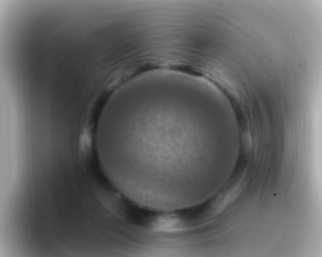 X0000096680214200802121218