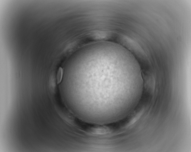 X0000096680215200802121218