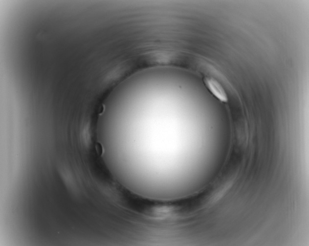X0000096680216200802121218