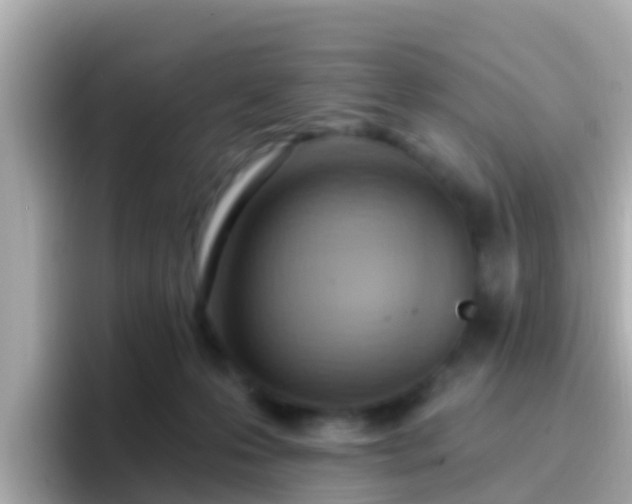 X0000096680223200802121218