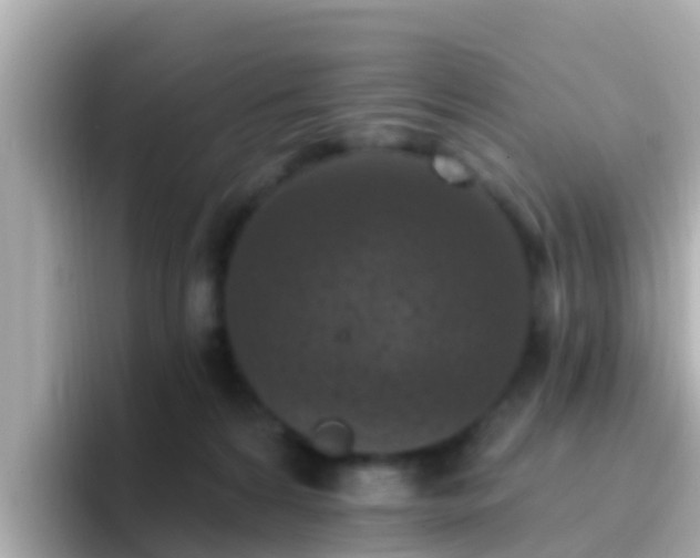 X0000096680224200802121218