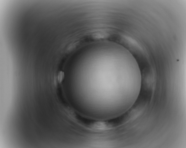 X0000096680227200802121218