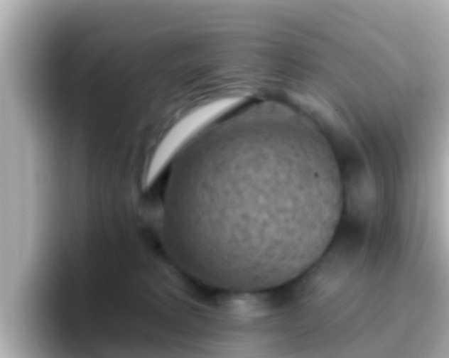 X0000096680229200802121218