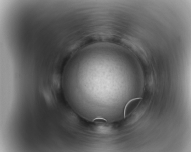 X0000096680232200802121218