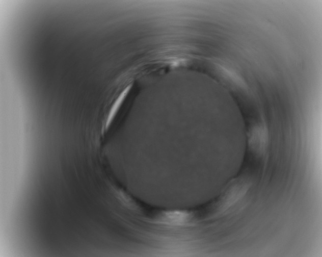X0000096680233200802121218